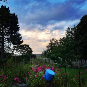 Zahrada ubytování Ferienhaus Jutta + 2 fotografie