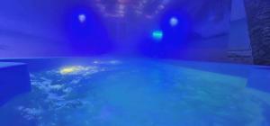 Nahaufnahme einer Badewanne mit Erde in der Unterkunft Apartament WODNY RAJ in Rzeszów + 3 Fotos