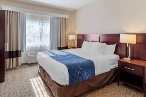 una camera d'albergo con un letto grande e una finestra di Brother hotel service a Panchkula