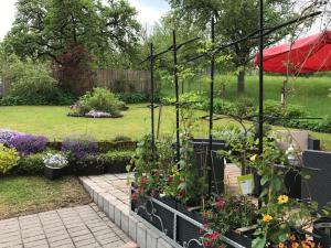 Zahrada ubytování Ferienhaus Am Weiher