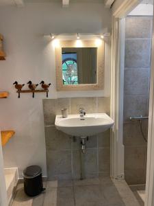 een badkamer met een wastafel en een spiegel bij Texel Atelier in De Koog