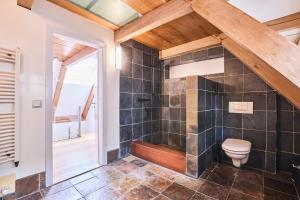 a bathroom with a toilet and a walk in shower at Das Wewelsflether Bäckerhaus - 250qm für 12 Gäste in Wewelsfleth