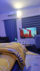 Μια τηλεόραση ή/και κέντρο ψυχαγωγίας στο Appart Séjour plus Bénin