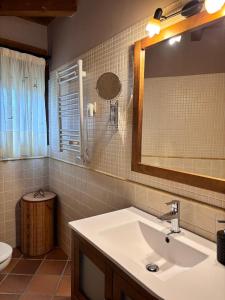 a bathroom with a sink and a mirror and a toilet at Casa Rural El Regajo in Tenzuela +28 photos