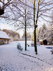 einen schneebedeckten Park mit Bäumen und einer Bank in der Unterkunft Chatka zimorodka in Pielgrzymka