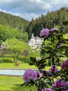 a house in the background with flowers in the foreground at Flair-Hotel Waldfrieden in Meuselbach-Schwarzmühle +272 photos