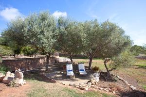 zwei Stühle und ein Tisch unter zwei Bäumen in der Unterkunft Finca Can Marines in Calonge