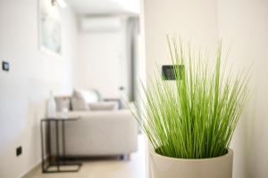 Fotografie z fotogalerie ubytování Ferienwohnung In Zambratija Mit Eigenem Parkplatz v destinaci Zambratija