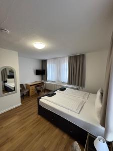 TV a/nebo společenská místnost v ubytování Pension Bertramshof