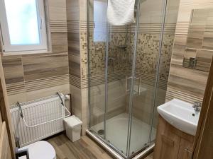 亚希莫夫Apartmany Pod Kloboukem的浴室配有淋浴和洗手池 更多24张照片