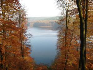 Příroda nedaleko prázdninového domu + 7 fotografií
