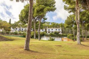 a group of trees in a field with houses in the background at Cala Nostra Bea in Palafrugell
