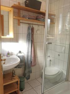 ein Badezimmer mit Dusche, Toilette und Waschbecken in der Unterkunft Ferienwohnung Am Heimathof in Dorsten