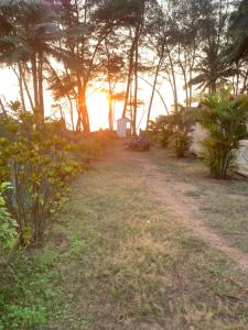 un champ avec des arbres et le soleil se couchant au loin dans l'établissement Nikhils Luxury Beach Cottages, à Magdāl 9 autres photos