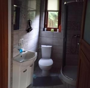 une salle de bain avec toilettes, lavabo et douche dans l'établissement Domek na Polesiu, à Wola Wereszczyńska