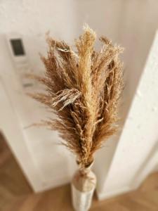 a vase filled with dried grass on a wall at Apartamentos Casa del Mar in Torrevieja +24 photos