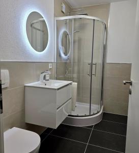 a bathroom with a shower and a sink and a toilet at Pfalz Studio in Speyer - stilvoll, modern & zentral in Speyer