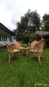 three wicker chairs and a table in the grass at EVOKE Hostel Mirissa in Mirissa