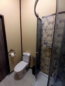 Un baño con inodoro y ducha en Apartment, en Chernivtsi