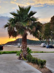 Příroda nedaleko prázdninového domu