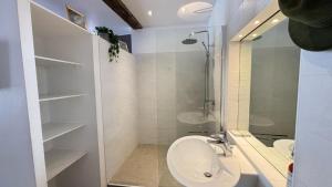 Ένα μπάνιο στο Cosy Eglantine and Planta - Clémenceau Hypercentre +24 φωτογραφίες