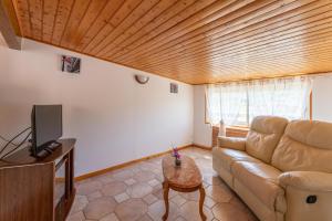 ein Wohnzimmer mit Sofa und Fernseher in der Unterkunft Villa du soleil levant in Apt