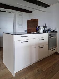 Η κουζίνα ή μικρή κουζίνα στο Haus Am See Mühlruh