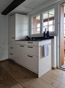 Η κουζίνα ή μικρή κουζίνα στο Haus Am See Mühlruh +3 φωτογραφίες