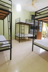 a room with four bunk beds in a room at Comfy Stay in Badulla