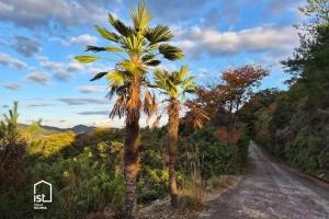 Příroda nedaleko vily + 18 fotografií