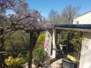 einen Garten mit einer Pergola mit lila Blumen in der Unterkunft Gite Lagachon in Saint-Étienne-de-Boulogne