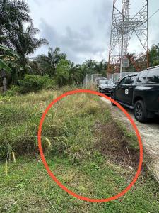 an orange circle on the grass next to a car at hotel mutiara KGM in Malacca