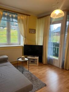 TV a/nebo společenská místnost v ubytování Apartment MANHATTAN