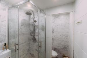 a bathroom with a glass shower with a toilet at Výchozí bod pro saské Švýcarsko, pet friendly, Děčínský moderní apartmán in Děčín +35 photos