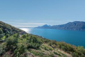 Příroda nedaleko prázdninového domu