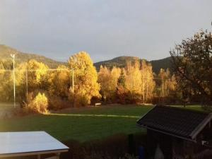 ein Park mit Rasen und Bäumen in der Unterkunft Ferienwohnung Ebner in Böbrach