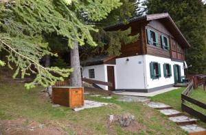 une petite maison avec un arbre en face dans l'établissement Almhaus Am Hohenwart, à Klippitztorl