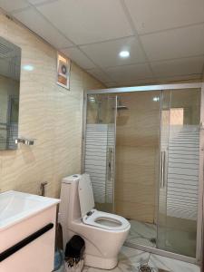 a bathroom with a toilet and a shower and a sink at RUM HORIZON BUBBlE LUXURY CAMP in Wadi Rum