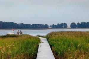 Příroda nedaleko apartmánu + 5 fotografií