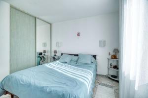 a bedroom with a bed with a large mirror at Chez Anne Marie Et Daniel in Gardouch +13 photos