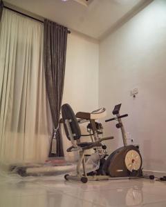 Fitness centrum a/nebo fitness zařízení v ubytování Oiza haven homes