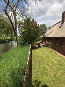 Příroda nedaleko prázdninového domu