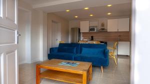 卢尔德Proche Sanctuaires - Confort Premium - Parking facile的客厅里有一张蓝色的沙发和一张桌子