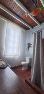 Un baño con inodoro y cortina de ducha en Chalet over the Caribbean sea, en Istmito