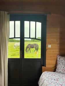 Ein Pferd grast auf einer Wiese vor der Schlafzimmertür in der Unterkunft Les Roulottes des Amis de Wonky in Rétaud