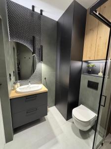 a bathroom with a toilet and a sink and a mirror at Apartament Wileńska 2 in Słupsk