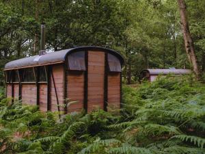 Zahrada ubytování Westacre Bradmoor Woods