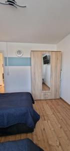 a bedroom with a bed and a mirror at Stadtblick Annaberg Große Fewo Peter 5 Personen in Annaberg-Buchholz