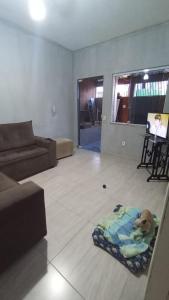 ein Hund, der auf einer Decke im Wohnzimmer liegt in der Unterkunft casa de praia a 5 minutos da praia central in Marataizes