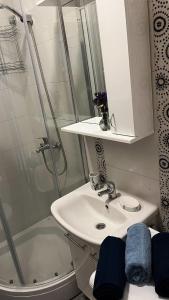 Koupelna v ubytování Stan na dan "Filippa"